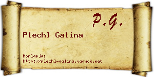 Plechl Galina névjegykártya